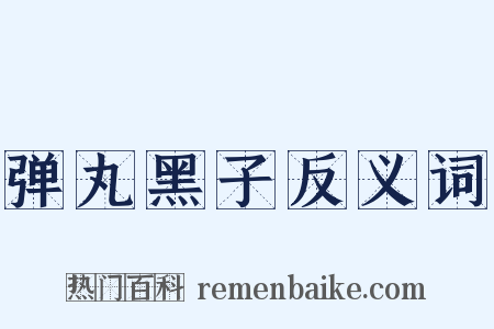 弹丸黑子反义词是什么意思的图片